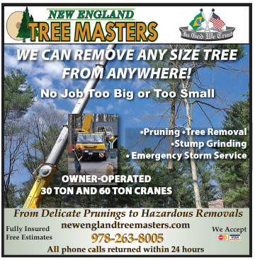 TreeMasters070914online