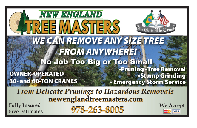 TreeMasters041015